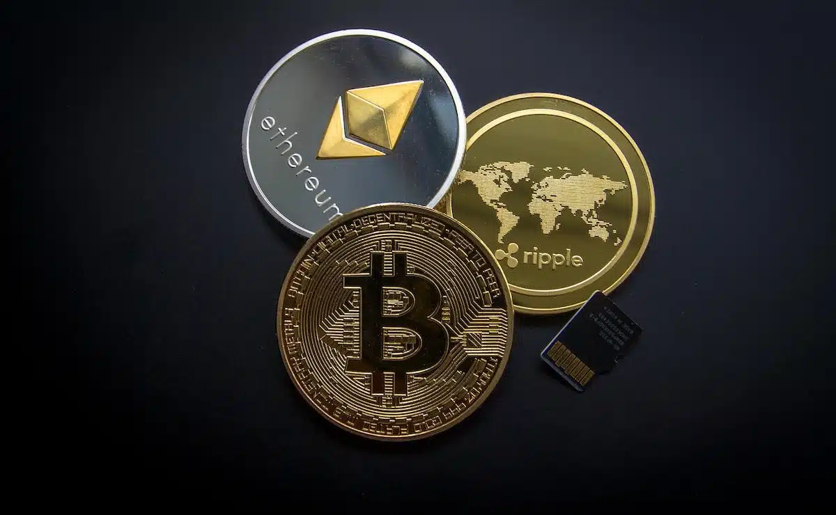 cryptomonnaie  société